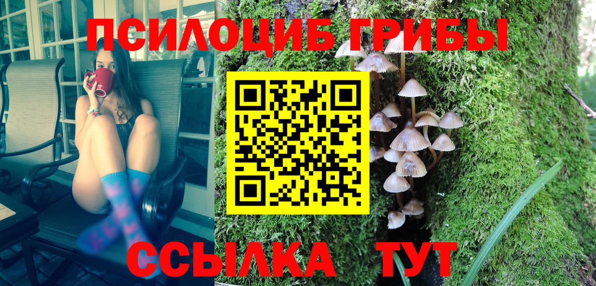 Галлюциногенные грибы Cubensis Богородицк
